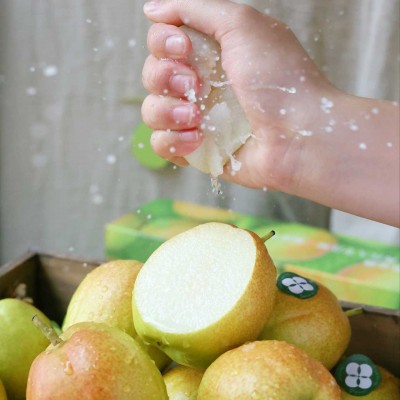 新疆库尔勒香梨新鲜水果梨子多汁整箱4-5.6斤当季梨子鲜水果顺丰 1箱图2