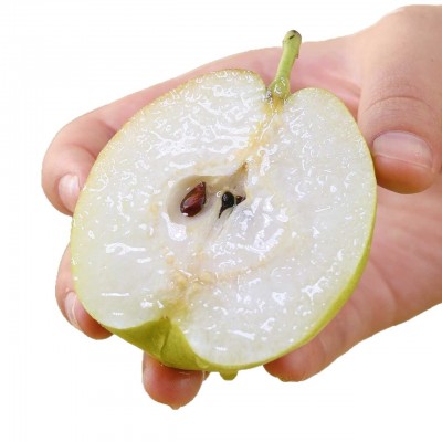 新疆库尔勒香梨新鲜水果梨子多汁整箱4-5.6斤当季梨子鲜水果顺丰 1箱图5