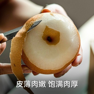 新疆阿克苏秋月梨礼盒冰糖梨整箱特大果甜梨子产地直发新鲜水果 1箱图4