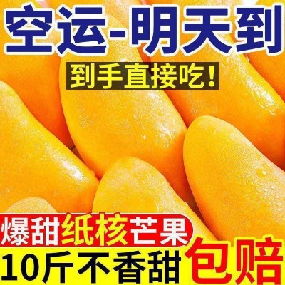 海南金煌芒新鲜水仙芒果斤装整箱薄皮当季孕妇水果果园直发包邮 1斤图2