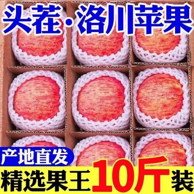 [脆甜]陕西正宗洛川红富士苹果新鲜应季水果冰糖心苹果批发一整箱 1箱