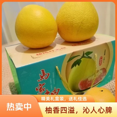 广丰马家柚子礼盒装（装2个果）装（4个果）新鲜水果孕妇果低糖橙 2个