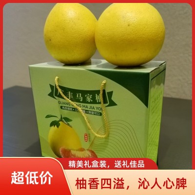 广丰马家柚子礼盒装（装2个果）装（4个果）新鲜水果孕妇果低糖橙 2个图2