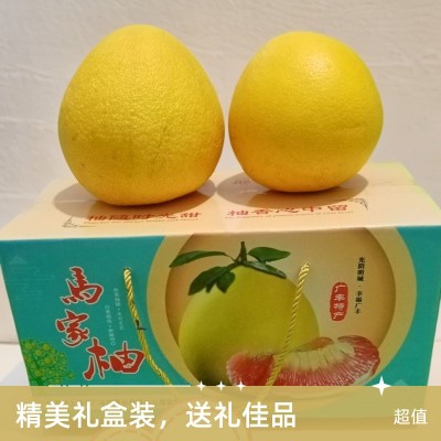广丰马家柚子礼盒装（装2个果）装（4个果）新鲜水果孕妇果低糖橙 2个图5
