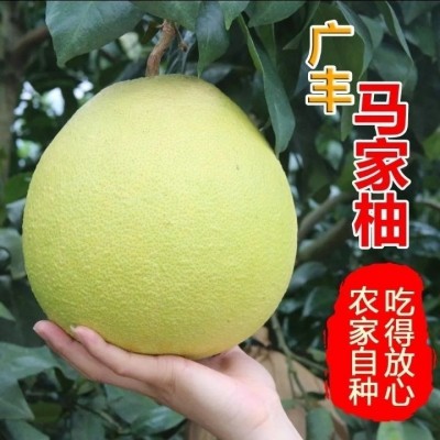 广丰马家柚子新鲜水果红心柚孕妇果橙应季蜜柚江西上饶特产 1个图2