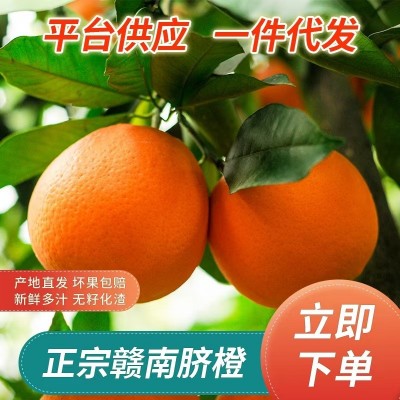 果园直供赣南脐橙10斤江西产地现摘新鲜水果皮薄香甜橙子批发果王