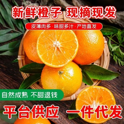 【赣州果园直供】正宗赣南脐橙应季薄皮橙子超市水果整箱批发果王图2