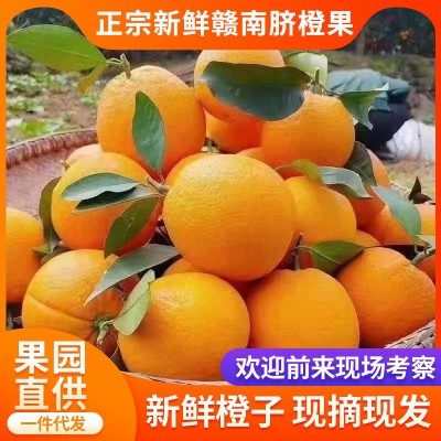 【赣州果园直供】正宗赣南脐橙应季薄皮橙子超市水果整箱批发果王图3