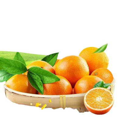 【赣州果园直供】正宗赣南脐橙应季薄皮橙子超市水果整箱批发果王图5