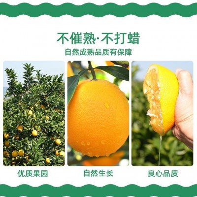 【京东】赣南脐橙20斤装大果 新鲜水果江西赣州脐橙现摘橙子批发