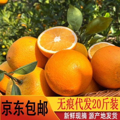 【京东】赣南脐橙20斤装大果 新鲜水果江西赣州脐橙现摘橙子批发图2