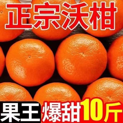 广西武鸣县沃柑斤新鲜水果当季整箱砂糖蜜橘沙糖柑橘子桔子 3斤