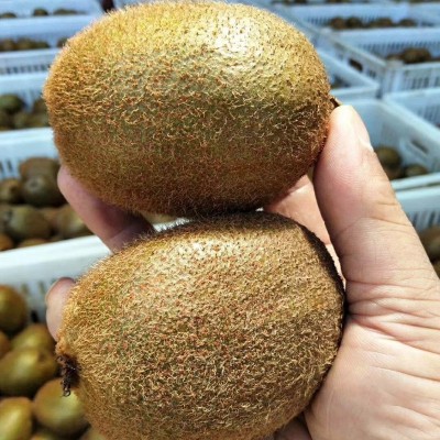 正宗徐香猕猴桃24颗/30颗新鲜奇异果眉县绿心猕猴桃 徐香一件代发图3