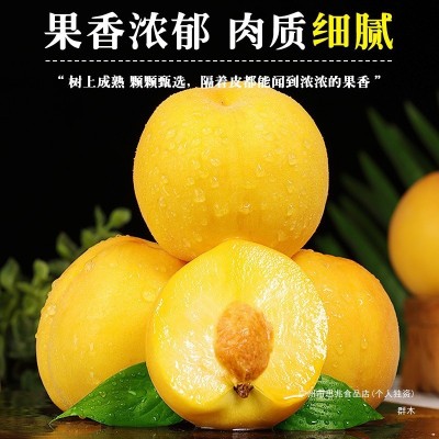正宗砀山黄桃10斤新鲜毛桃子水果应当季现摘黄肉蜜桃大果整箱包邮 3斤图5