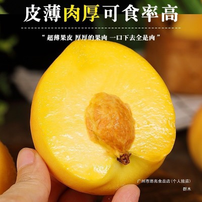 正宗砀山黄桃10斤新鲜毛桃子水果应当季现摘黄肉蜜桃大果整箱包邮 3斤图2