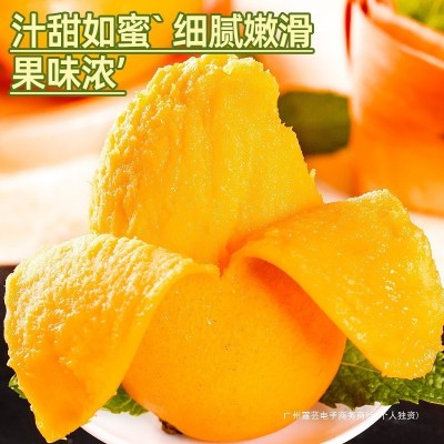 海南小台农芒果10斤新鲜现摘小台芒应当季热带水果特产芒果包邮5 3斤图4