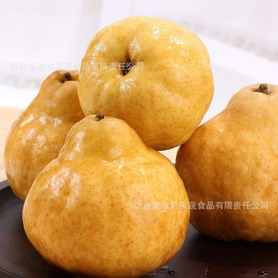 中华丑梨软糯香甜烟台太婆丑梨蜜梨吃的新鲜水果5斤包邮一件代发图3