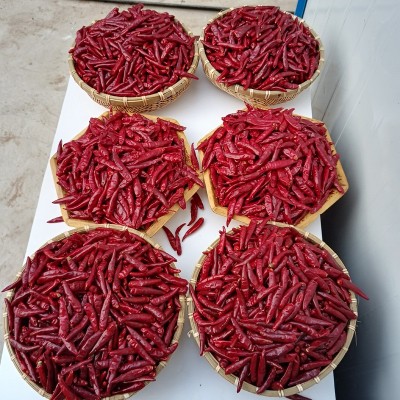 内黄新一代干辣椒大量批发重庆火锅专用特辣香朝天椒厂家现货直销 2份图3