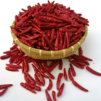 内黄新一代干辣椒大量批发重庆火锅专用特辣香朝天椒厂家现货直销 2份图2