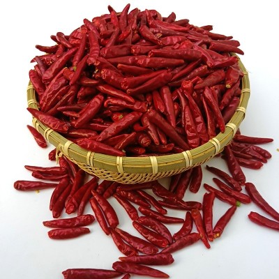 内黄新一代干辣椒大量批发重庆火锅专用特辣香朝天椒厂家现货直销 2份图4