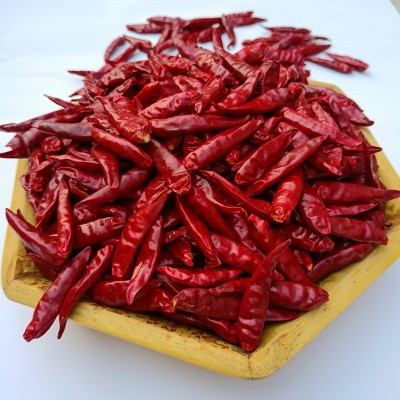 河南新一代干辣椒朝天椒三樱椒大量批发火锅底料厂家现货直销 2份