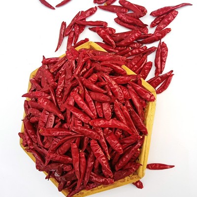 河南新一代干辣椒朝天椒三樱椒大量批发火锅底料厂家现货直销 2份图3