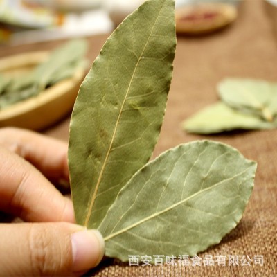 万香源广西月桂叶足干香叶八角桂皮花椒香辛料商用调味料批发手选 1袋