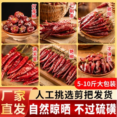 贵州干辣椒多品种遵义条子二荆条皱椒满天星特辣特香辣椒干无把图3