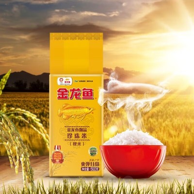 金龙鱼御品珍珠米500g 大米团购礼品福利促销品 单袋1斤装 小包装图4