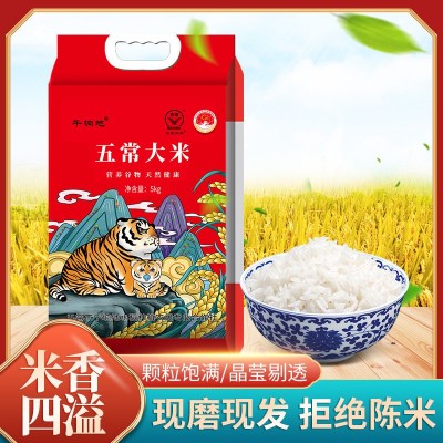 产地直发五常大米新米长粒香米现磨现发东北长粒大米真空五斤十斤