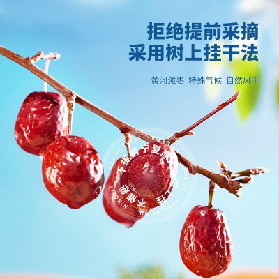 宁安堡大红枣西北特产大枣宁夏黄河滩枣批发零售  1袋图2