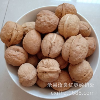 新疆核桃批发薄皮核桃清香酥脆饱满跑江湖地摊70斤整袋袋装手剥  1包图2