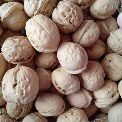 新疆核桃批发薄皮核桃清香酥脆饱满跑江湖地摊70斤整袋袋装手剥  1包图3