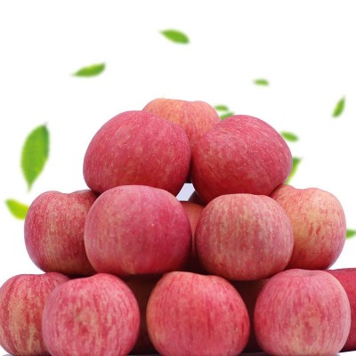 包邮带箱十斤山西新鲜现摘红富士苹果水果脆甜冰糖心丑苹果批发