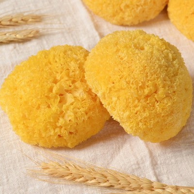 新货古田丑耳银耳食用菌 农产品特产银耳丑耳木耳干货厂家批发 1件图3