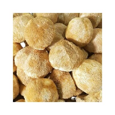 古田猴头菇 农家特产新货剪跟猴头菇 福建特产食用菌厂家直供 1件图5