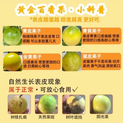 当季新鲜水果百香果黄金钦蜜9号5斤包邮特大果九号白香果纯甜图5