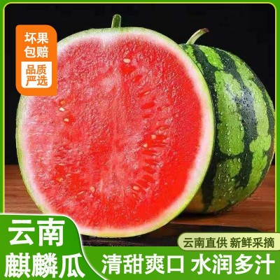 云南麒麟有籽大西瓜薄皮夏邑8424冰糖孕妇当季新鲜水果现摘一件籽图3