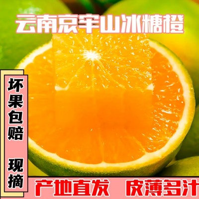 云南哀牢山冰糖橙新鲜水果果冻橙手剥橙柑橘橙子