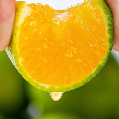 云南哀牢山冰糖橙新鲜水果果冻橙手剥橙柑橘橙子图2