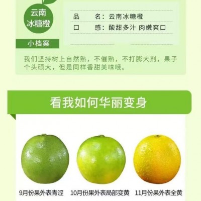 云南哀牢山冰糖橙新鲜水果果冻橙手剥橙柑橘橙子图4