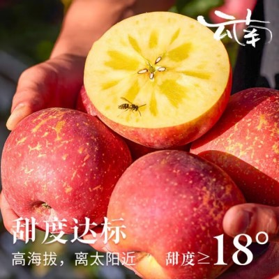 云南昭通丑苹果新鲜昭通冰糖心丑苹果红富士水果当季整箱包邮