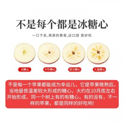 云南昭通丑苹果新鲜昭通冰糖心丑苹果红富士水果当季整箱包邮图4