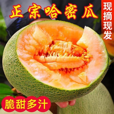 农家现摘哈密瓜当季整箱3/9斤海南新鲜水果香甜蜜瓜应季