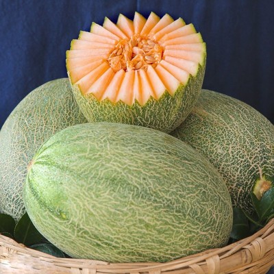 农家现摘哈密瓜当季整箱3/9斤海南新鲜水果香甜蜜瓜应季图5