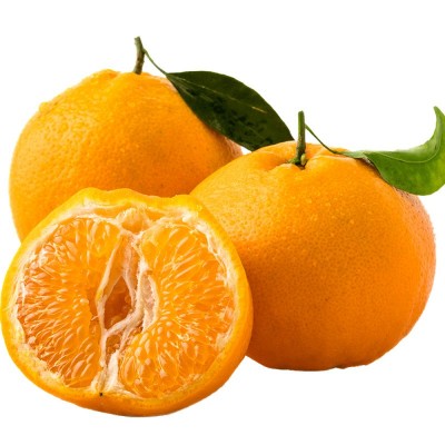 四川春见耙耙柑时净重4.5斤令新鲜现摘水果当季正宗丑柑橘子整箱图5