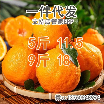 四川春见耙耙柑时净重4.5斤令新鲜现摘水果当季正宗丑柑橘子整箱