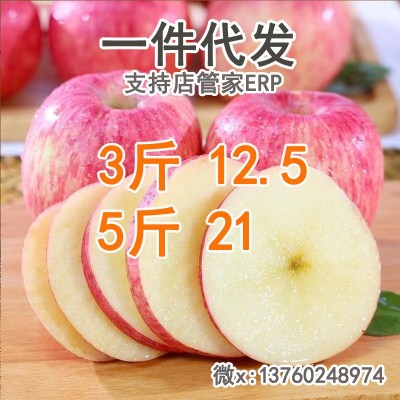 2025陕西早熟红富士苹果3/5/9斤水果新鲜当季脆甜冰糖心苹果整箱