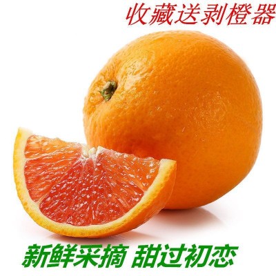 中华红血橙10斤橙子水果红肉果冻橙手剥甜橙大果整箱一级现摘血橙