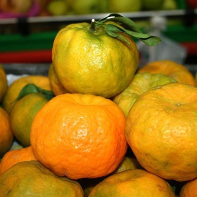 【好吃不上火】湖北当季现摘高山碰柑芦柑酸甜多汁孕妇水果批发图4